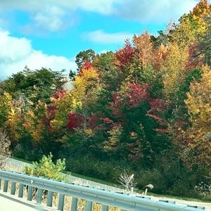 Meet your Posher, Siya